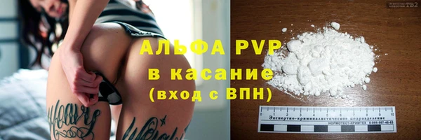 шишки Михайловск