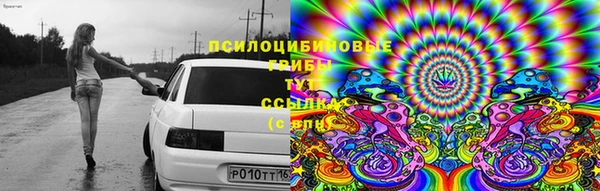 кокс Абаза
