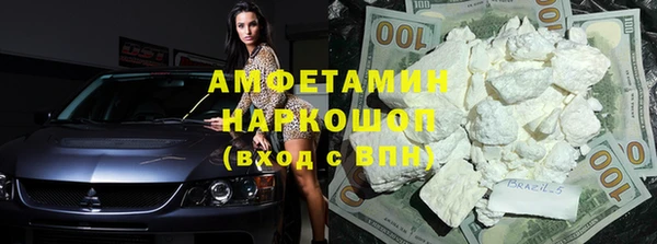 шишки Михайловск