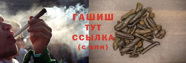 твердый Михайлов