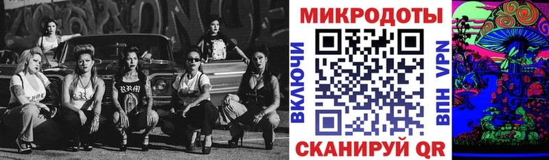 Псилоцибиновые грибы GOLDEN TEACHER  дарк нет формула  Новотитаровская 