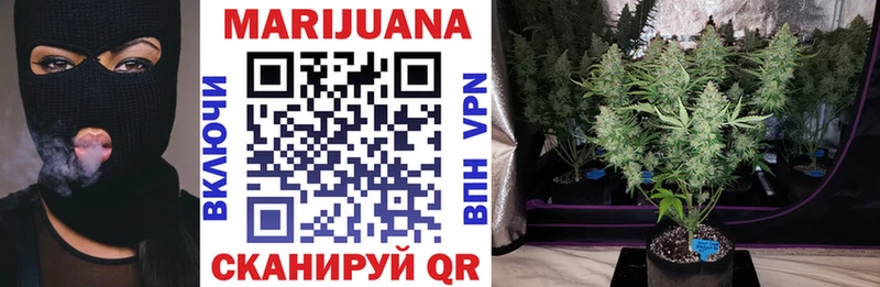 Бошки марихуана White Widow  купить наркотики цена  Новотитаровская 